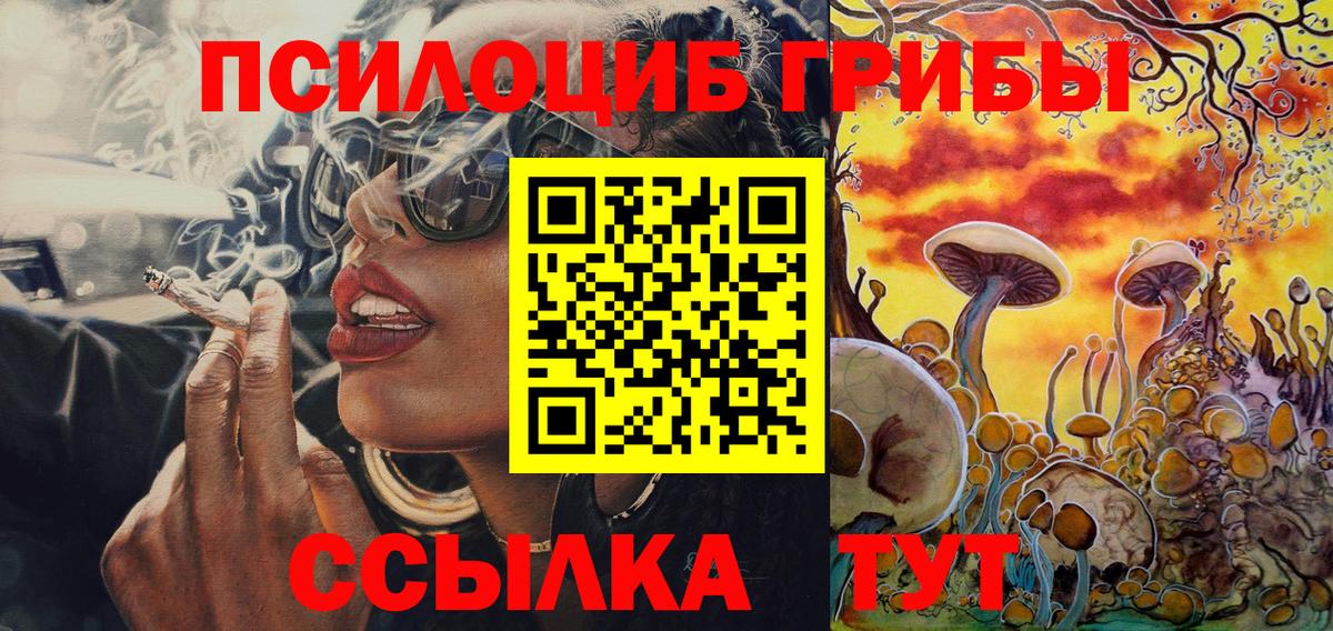 Галлюциногенные грибы мицелий  Вход с VPN  Галлюциногенные грибы Psilocybine cubensis  Ахтубинск 